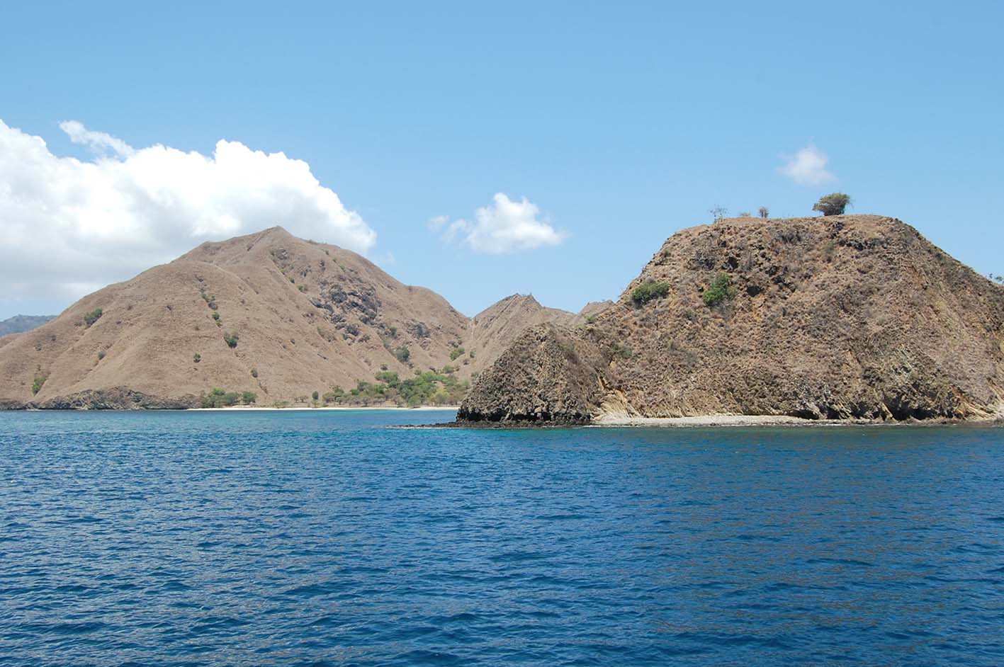 Download this Pulau Komodo Pada Musim Kering Tandak Gersang Dan Tandus picture